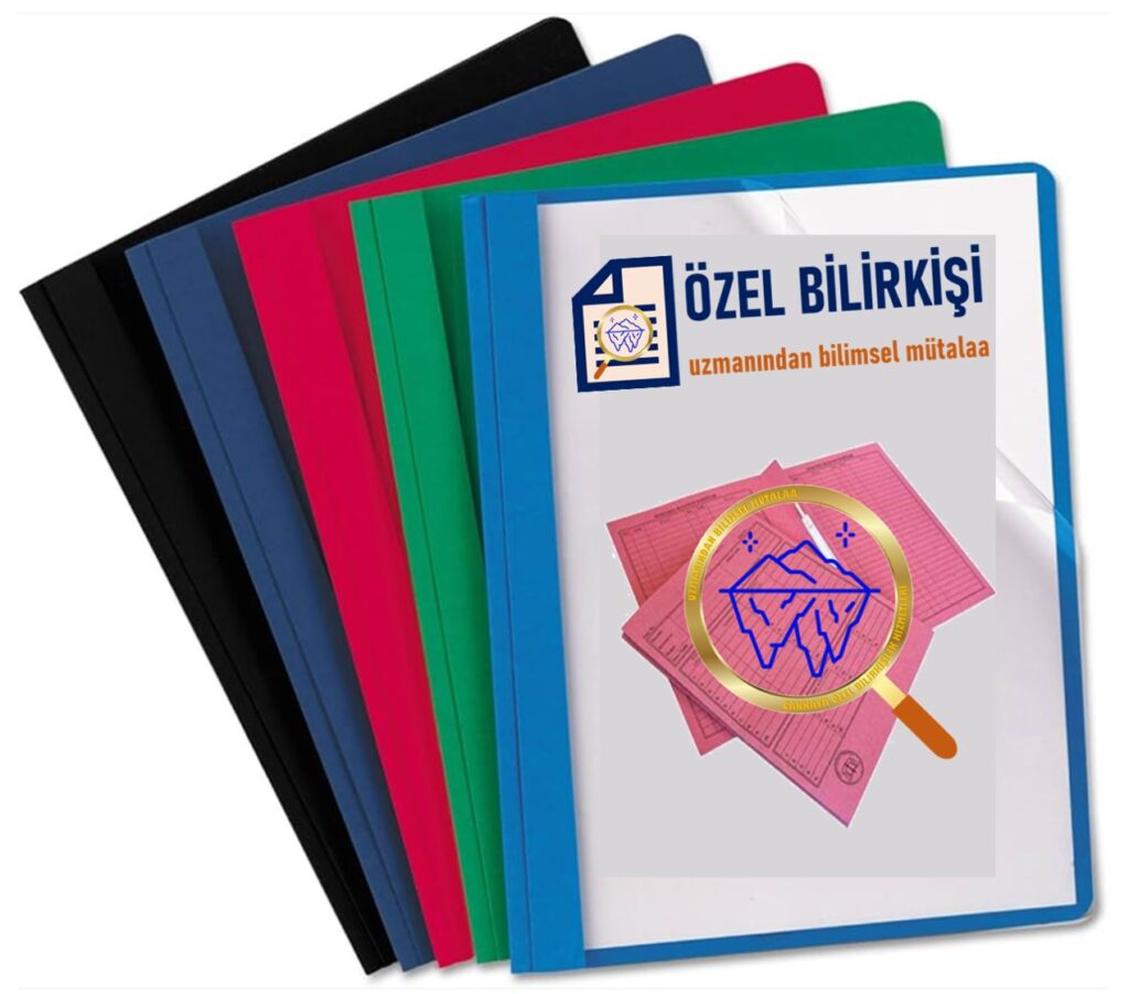 Özel Bilirkişi Uzman Mütalaası